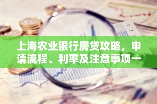 上海农业银行房贷攻略，申请流程、利率及注意事项一览