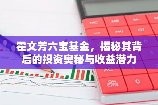 霍文芳六宝基金，揭秘其背后的投资奥秘与收益潜力