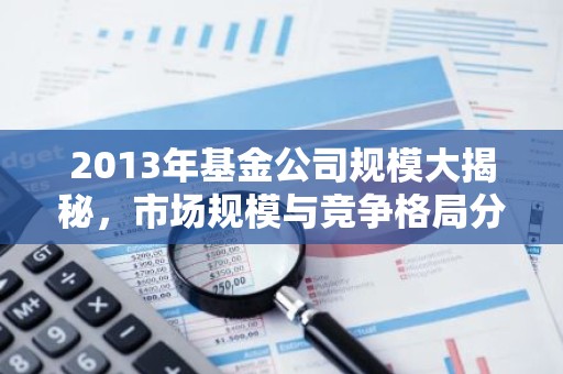 2013年基金公司规模大揭秘，市场规模与竞争格局分析