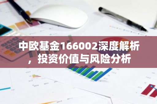 中欧基金166002深度解析，投资价值与风险分析