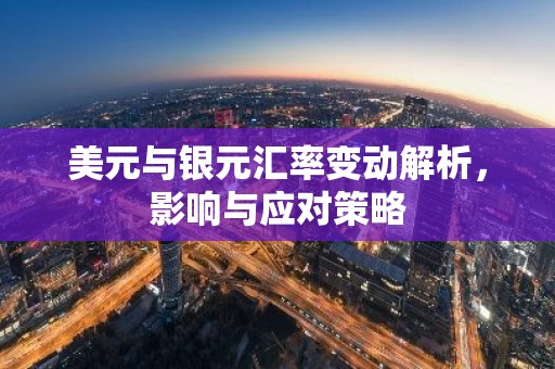 美元与银元汇率变动解析，影响与应对策略