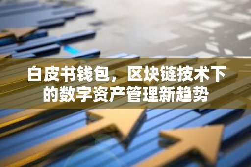 白皮书钱包，区块链技术下的数字资产管理新趋势