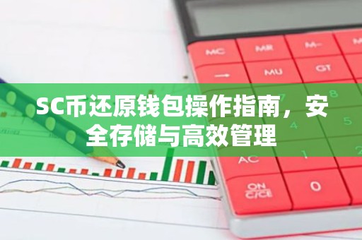 SC币还原钱包操作指南，安全存储与高效管理