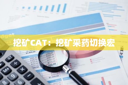 挖矿CAT：挖矿采药切换宏