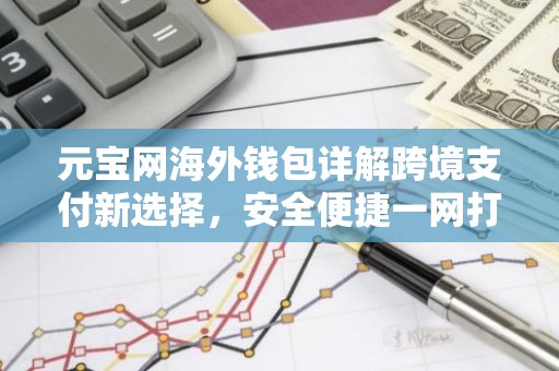 元宝网海外钱包详解跨境支付新选择，安全便捷一网打尽