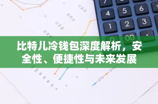 比特儿冷钱包深度解析，安全性、便捷性与未来发展