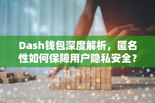 Dash钱包深度解析，匿名性如何保障用户隐私安全？
