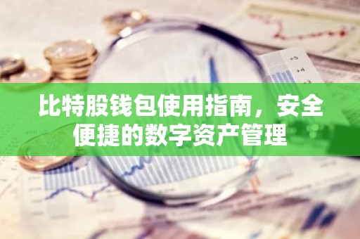 比特股钱包使用指南，安全便捷的数字资产管理