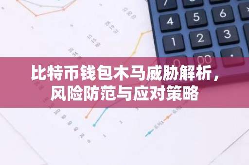 比特币钱包木马威胁解析，风险防范与应对策略