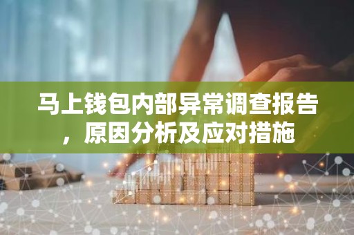 马上钱包内部异常调查报告，原因分析及应对措施