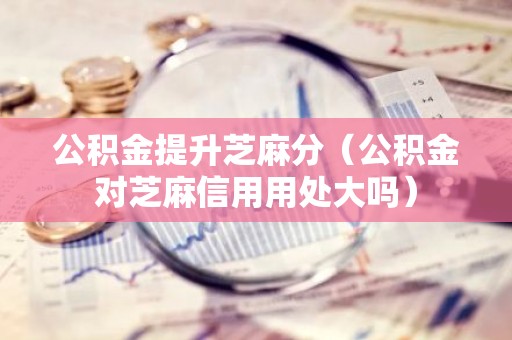 公积金提升芝麻分（公积金对芝麻信用用处大吗）