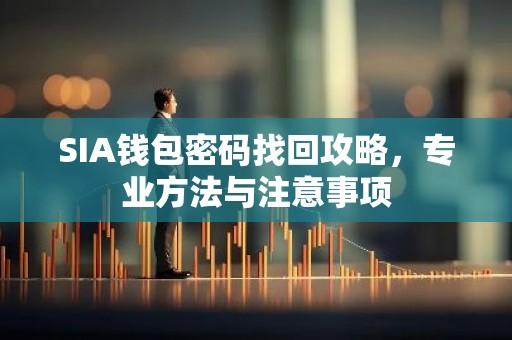 SIA钱包密码找回攻略，专业方法与注意事项