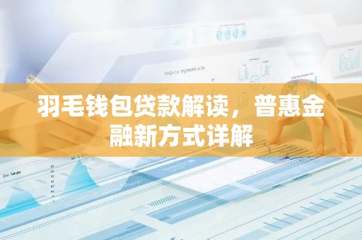 羽毛钱包贷款解读，普惠金融新方式详解