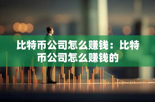 比特币公司怎么赚钱：比特币公司怎么赚钱的
