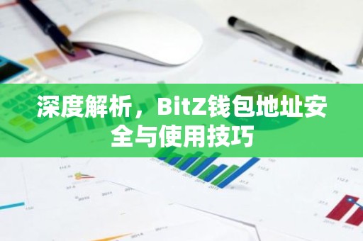 深度解析，BitZ钱包地址安全与使用技巧