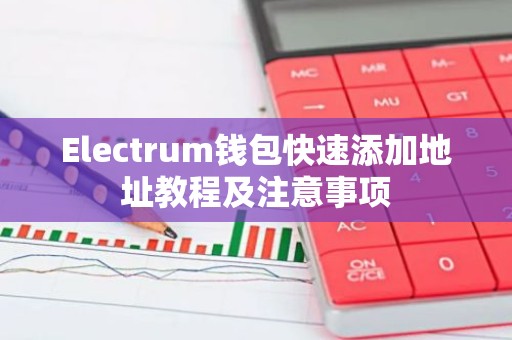 Electrum钱包快速添加地址教程及注意事项