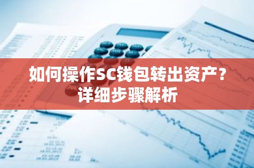 如何操作SC钱包转出资产？详细步骤解析