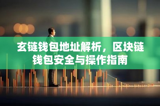 玄链钱包地址解析，区块链钱包安全与操作指南