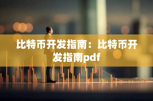 比特币开发指南：比特币开发指南pdf
