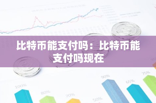 比特币能支付吗：比特币能支付吗现在