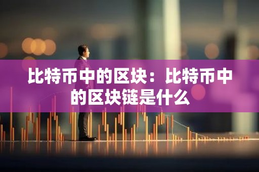 比特币中的区块：比特币中的区块链是什么