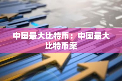 中国最大比特币：中国最大比特币案