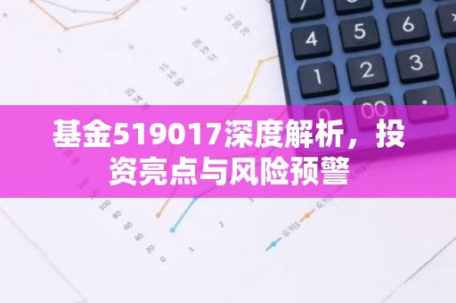 基金519017深度解析，投资亮点与风险预警