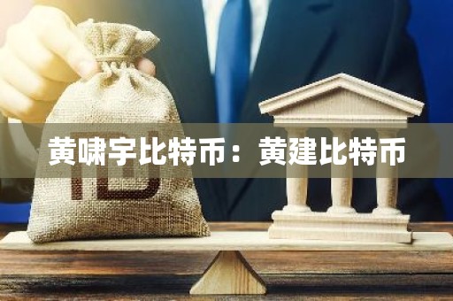 黄啸宇比特币：黄建比特币