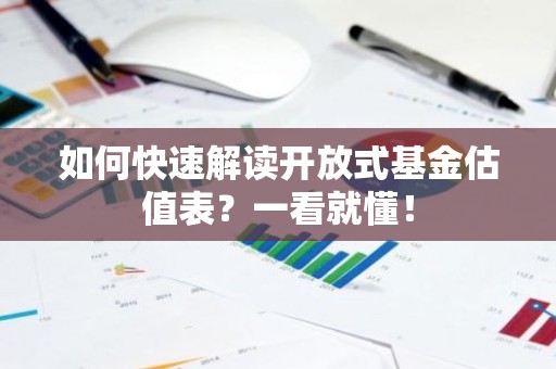 如何快速解读开放式基金估值表？一看就懂！