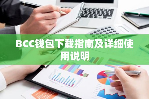 BCC钱包下载指南及详细使用说明