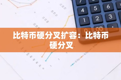 比特币硬分叉扩容：比特币 硬分叉