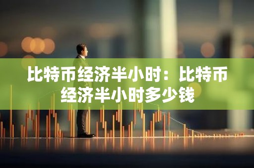 比特币经济半小时：比特币经济半小时多少钱