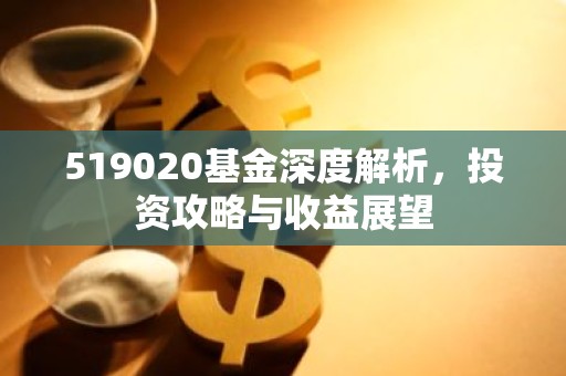 519020基金深度解析，投资攻略与收益展望