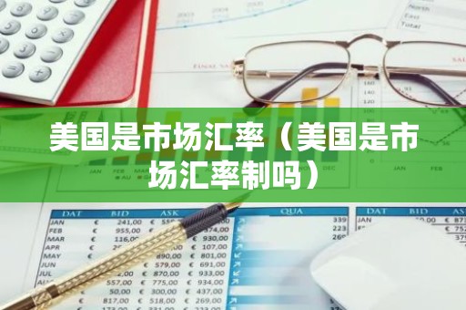 美国是市场汇率（美国是市场汇率制吗）
