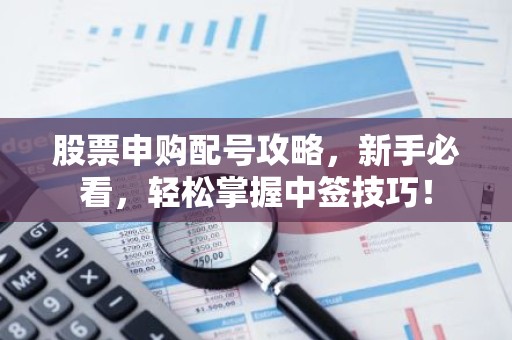 股票申购配号攻略，新手必看，轻松掌握中签技巧！