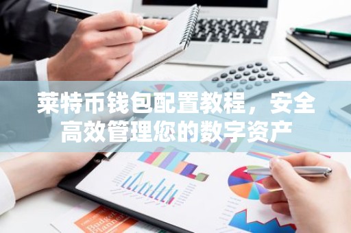 莱特币钱包配置教程，安全高效管理您的数字资产