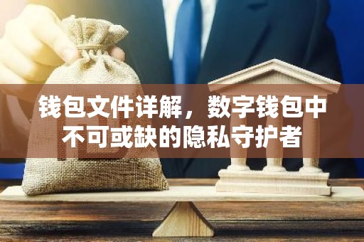 钱包文件详解，数字钱包中不可或缺的隐私守护者