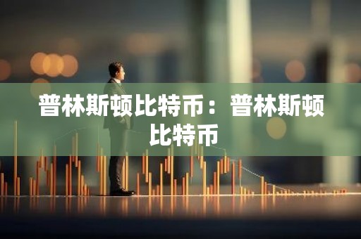 普林斯顿比特币：普林斯顿 比特币