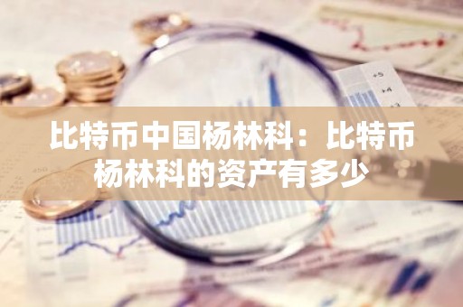 比特币中国杨林科：比特币杨林科的资产有多少