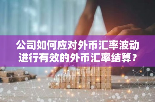 公司如何应对外币汇率波动进行有效的外币汇率结算？