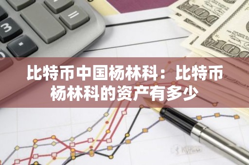 比特币中国杨林科：比特币杨林科的资产有多少