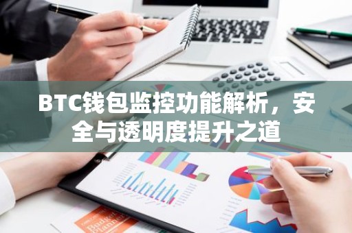 BTC钱包监控功能解析，安全与透明度提升之道