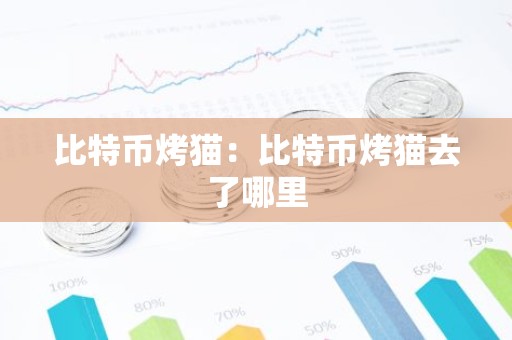 比特币烤猫：比特币烤猫去了哪里