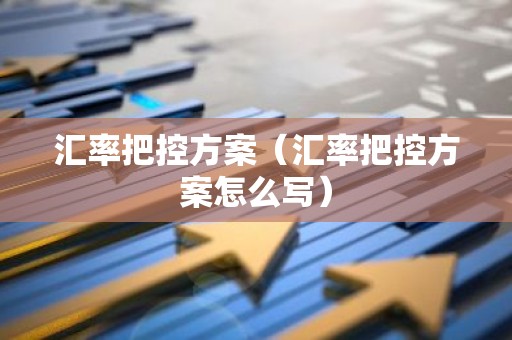 汇率把控方案（汇率把控方案怎么写）