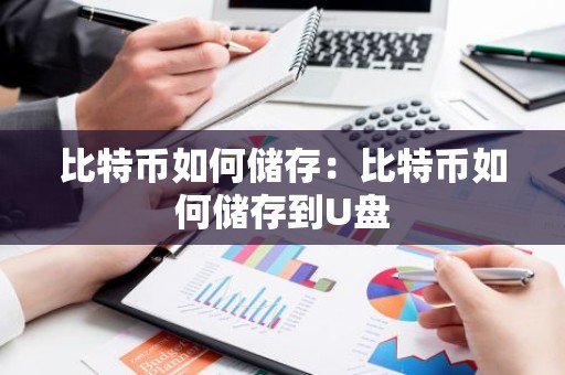 比特币如何储存：比特币如何储存到U盘