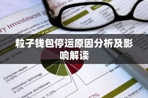 粒子钱包停运原因分析及影响解读