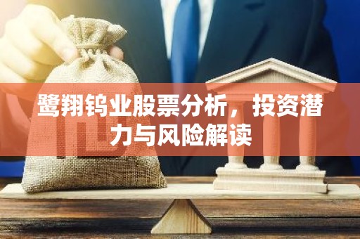 鹭翔钨业股票分析，投资潜力与风险解读