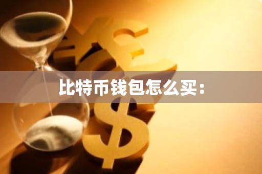 比特币钱包怎么买：
