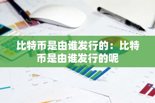 比特币是由谁发行的：比特币是由谁发行的呢