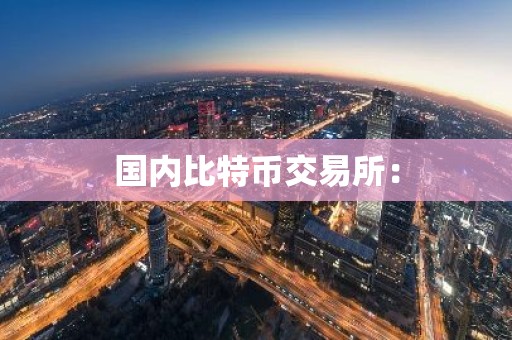 国内比特币交易所：
